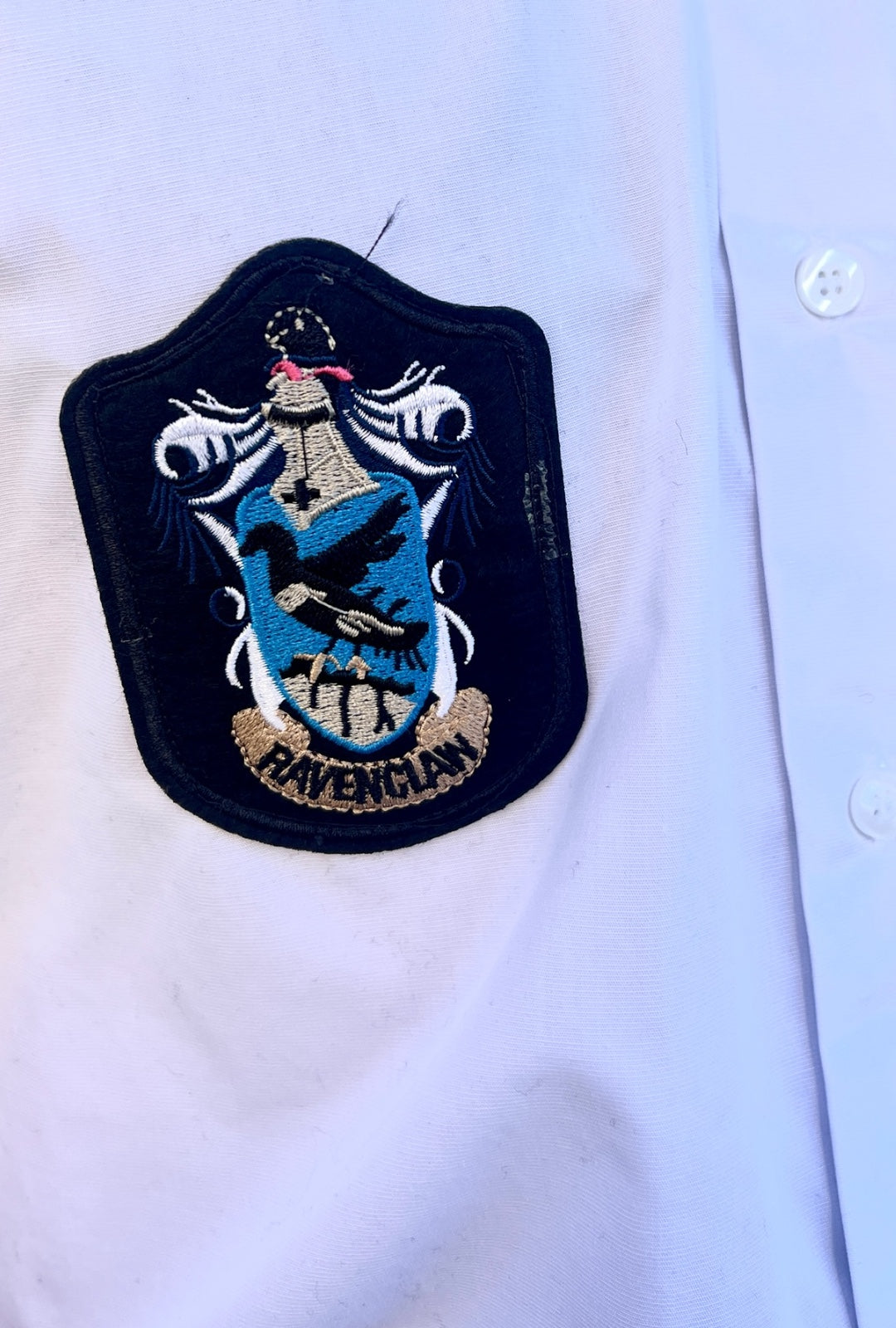 Harry Potter Ravenclaw Neck Tie