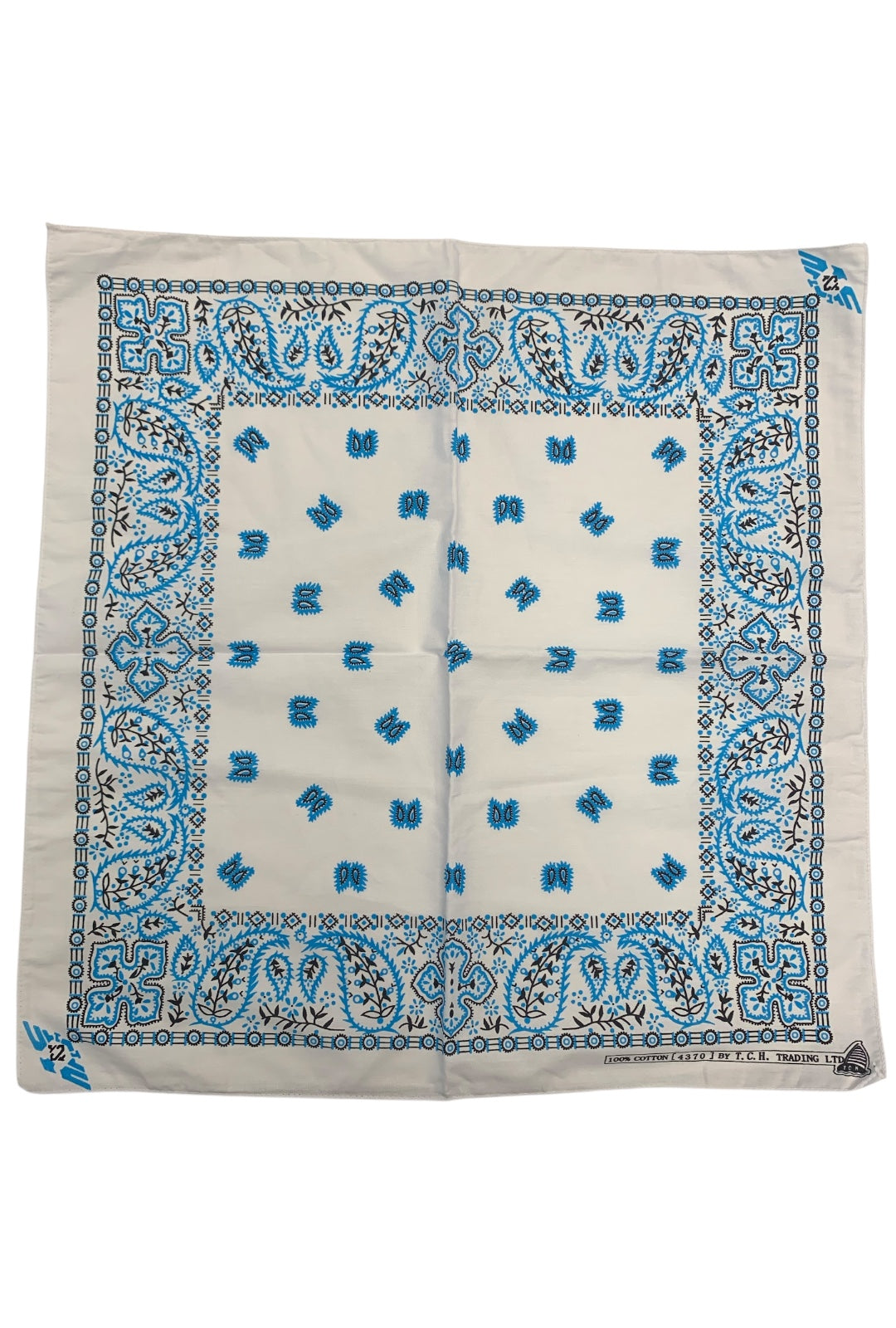 White with Light Blue Paisley Bandana