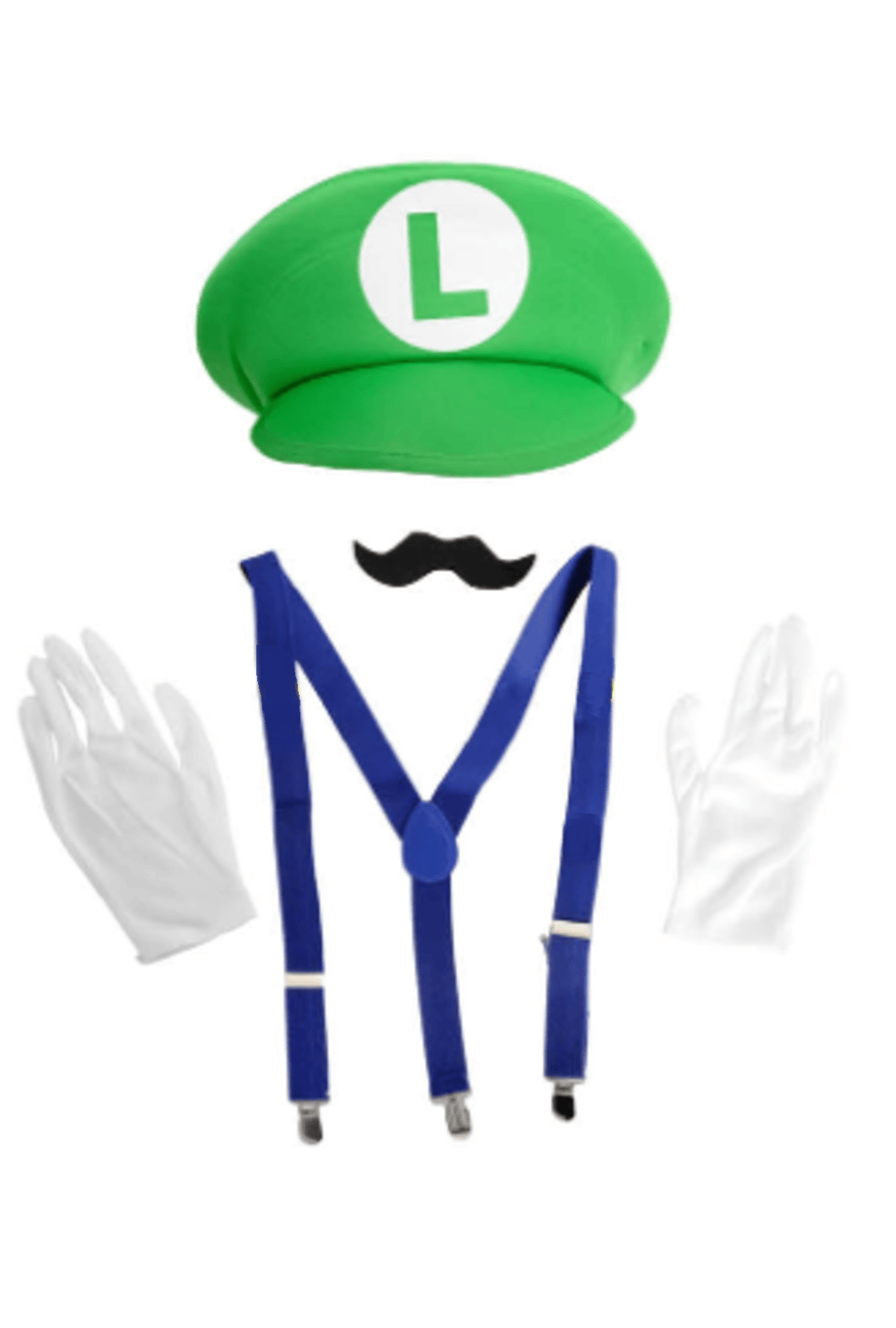 Luigi Accessory Kit