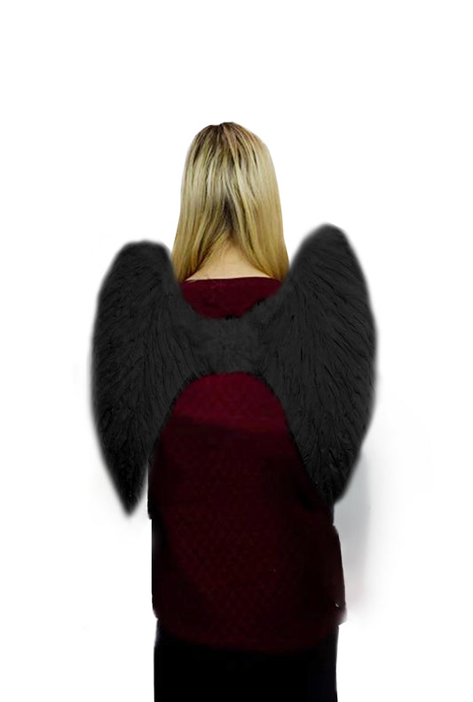 Small 50cm x 40cm Upside Down Black Angel Wings