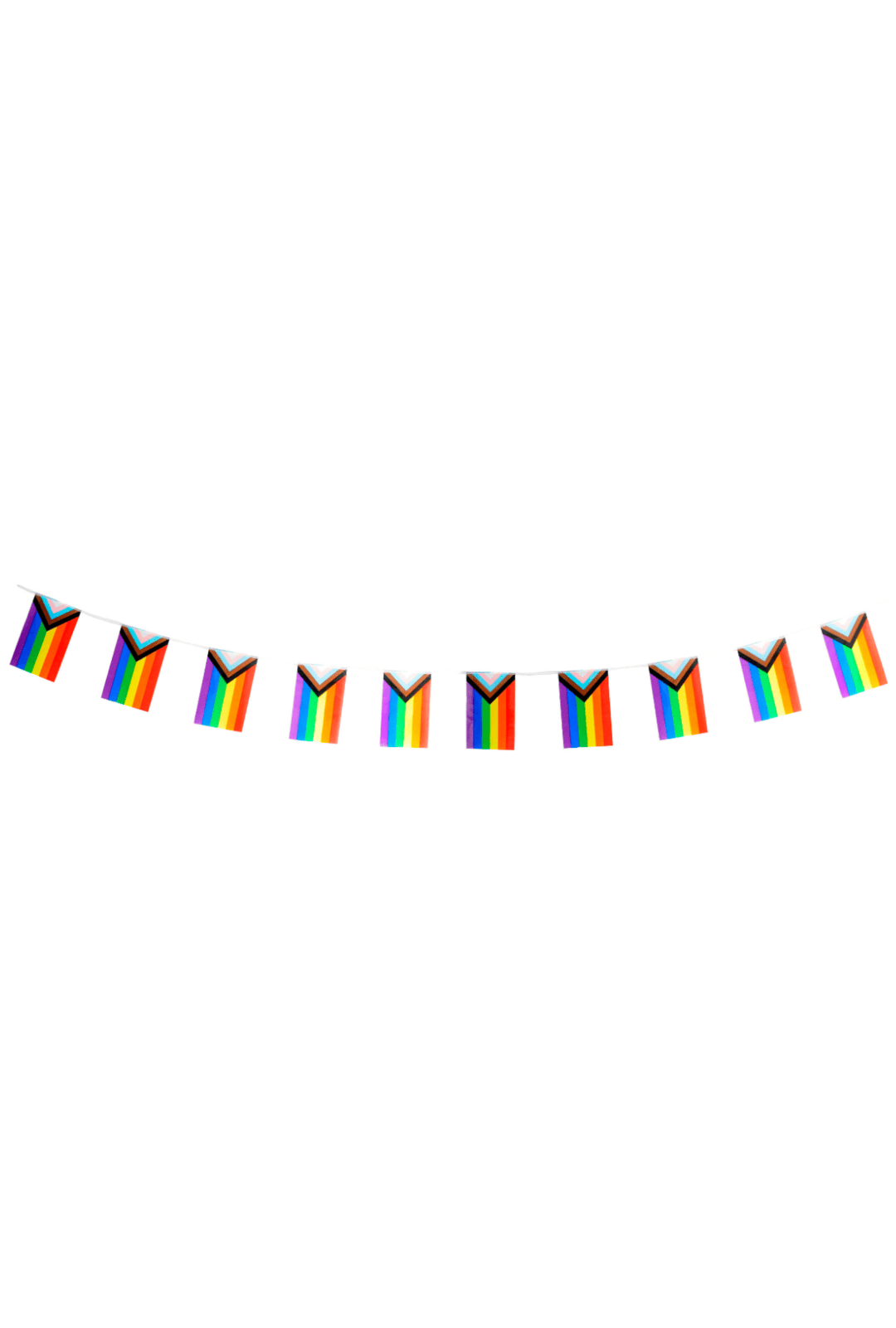 Pride Progress Flag Bunting