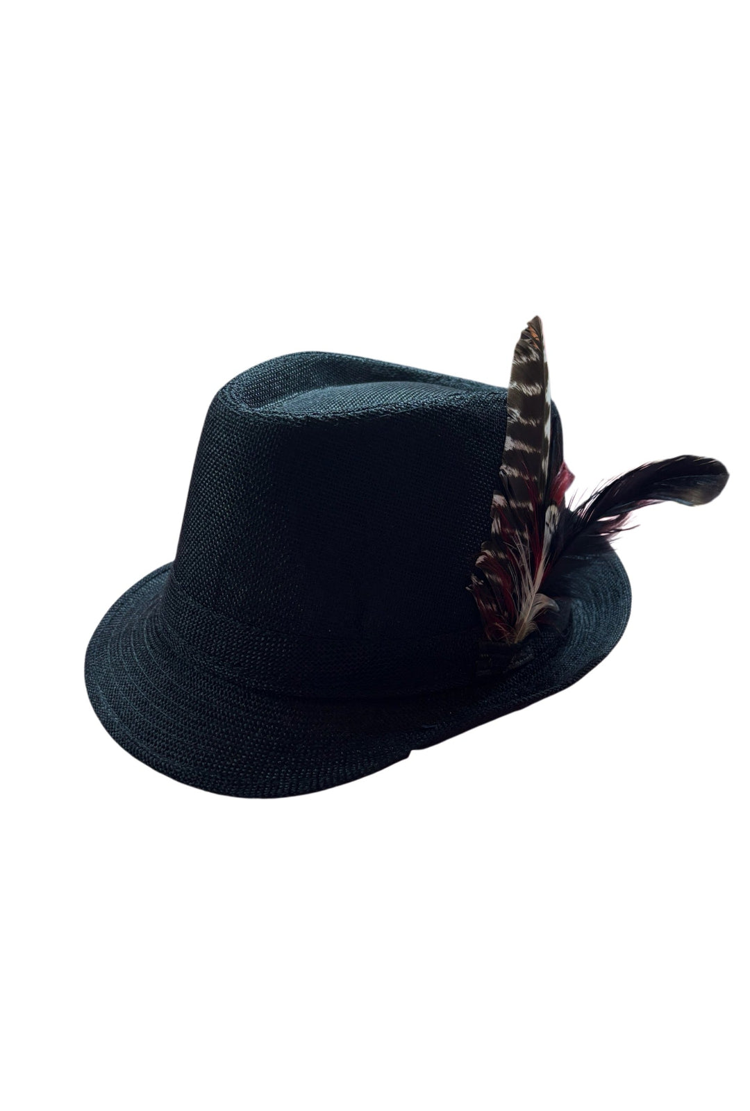 Black Oktoberfest Hat with Brown And Red Feathers