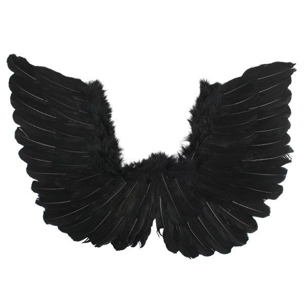 Small 50cm x 40cm Black Angel Wings