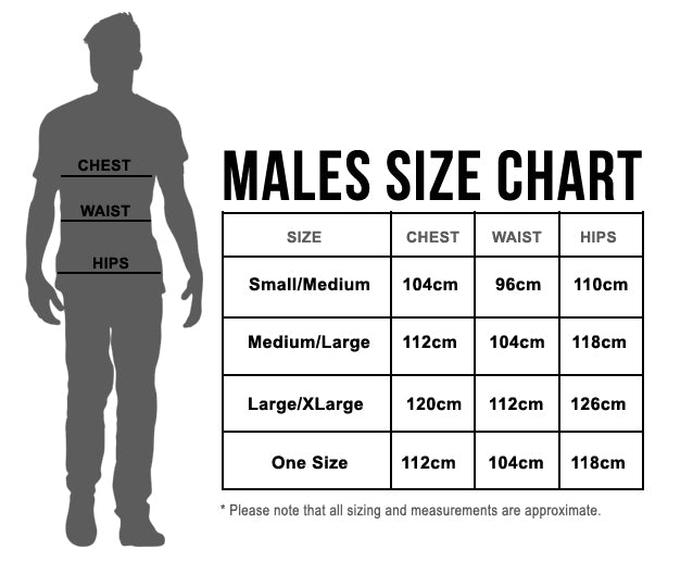 Mens Gladiator Costume