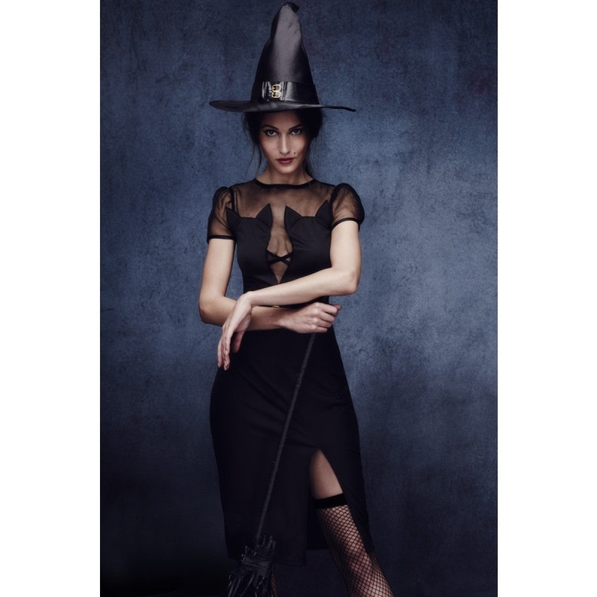Enchanting Cat Witch Costume