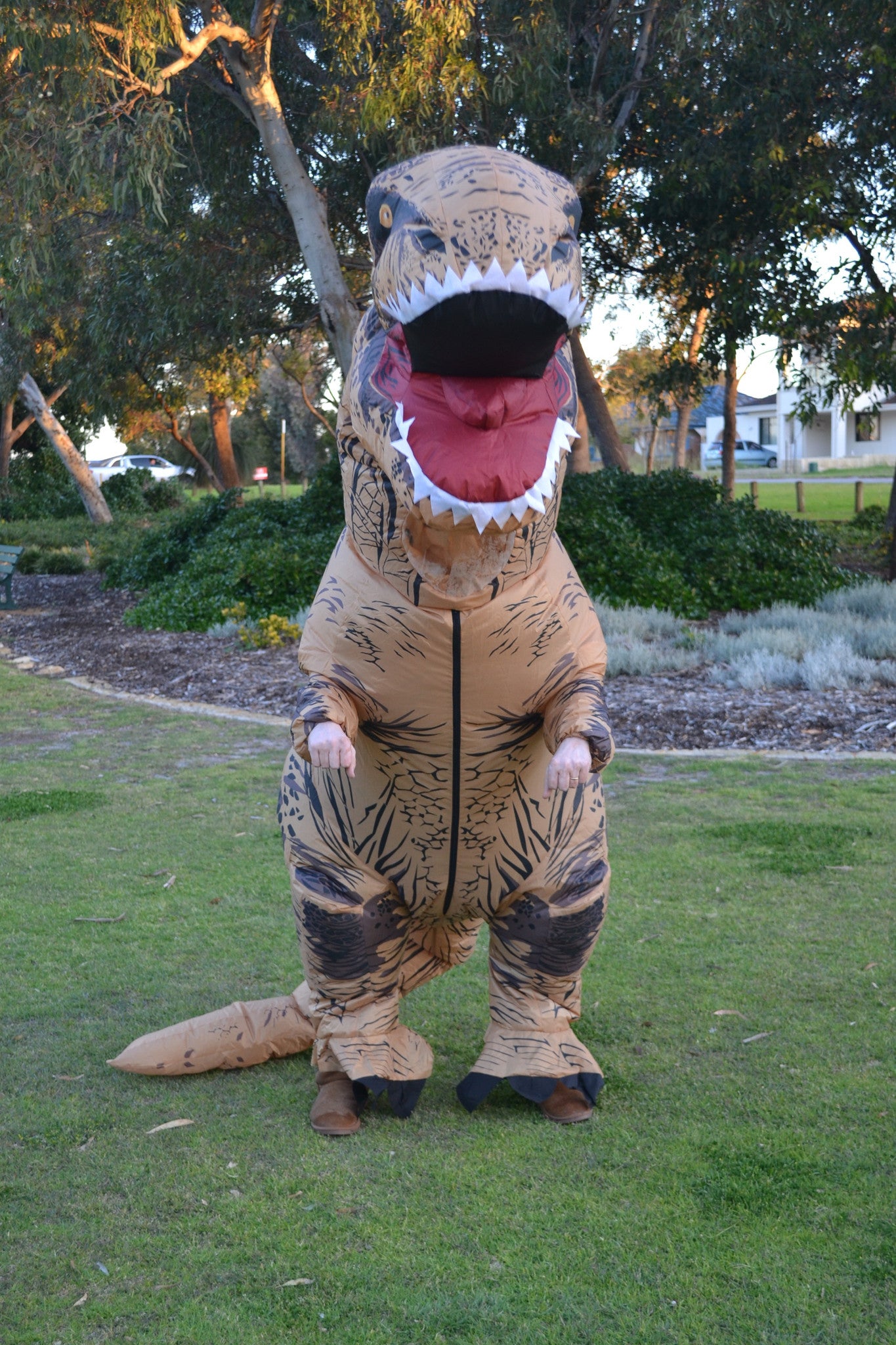 Inflatable T-Rex Costume