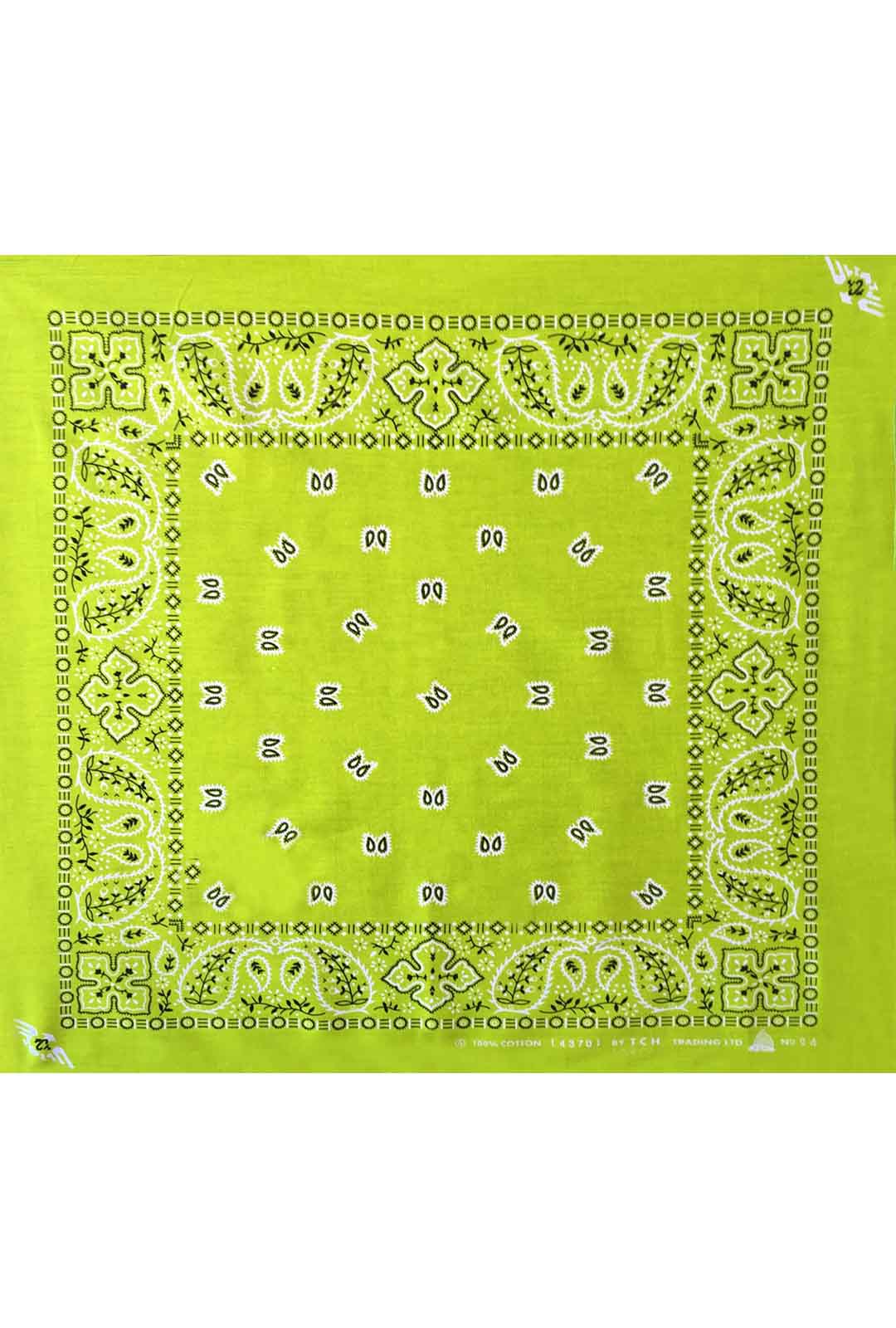 apple green colour paisley print bandana