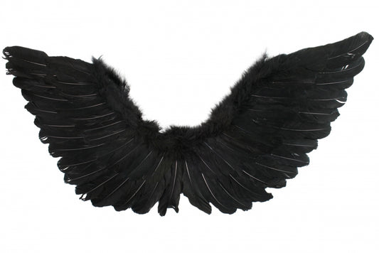 Large 90cm x 50cm Black Angel Wings