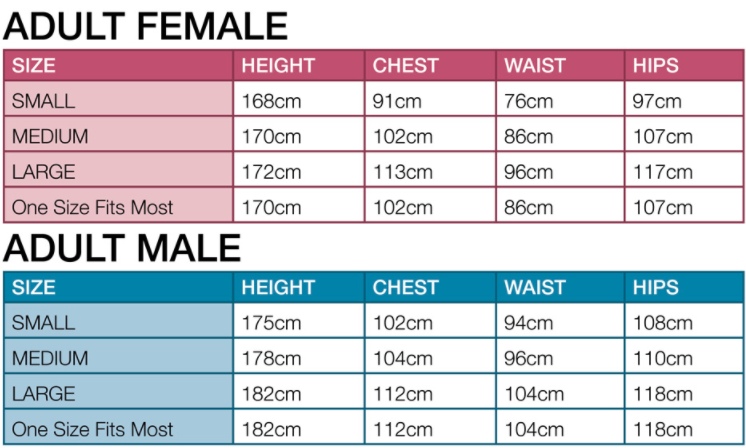 Harlequin Girl Costume