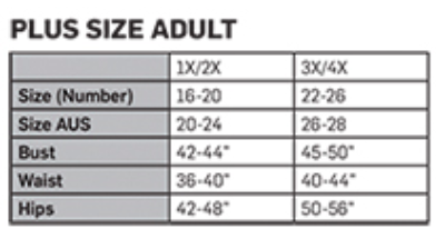 Bewitching Witch Costume Plus Size