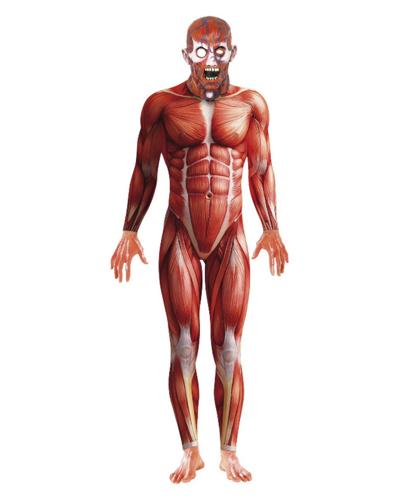 Muscle Anatomy Morphsuit – Hurly-Burly