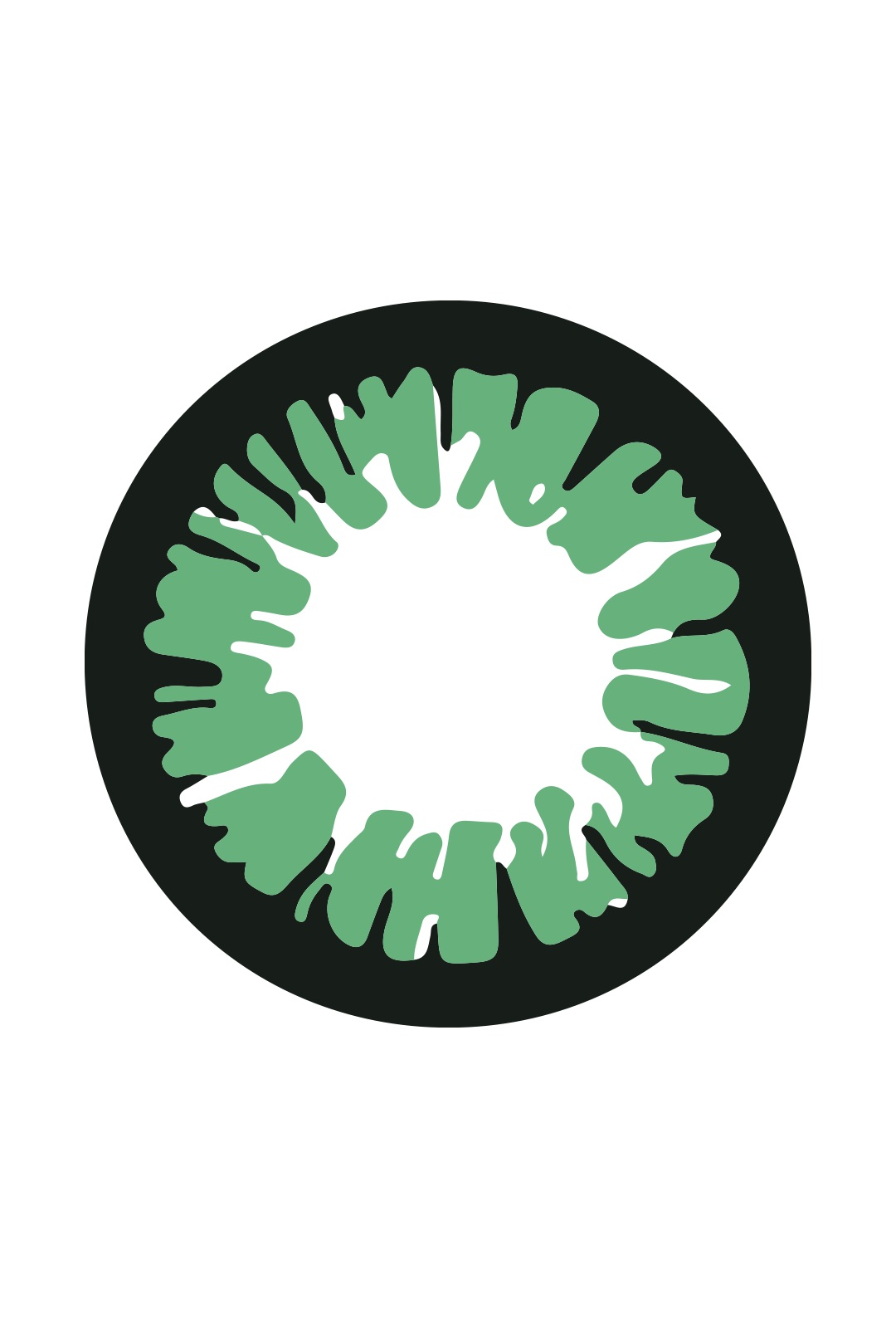 black rim and green contact lens