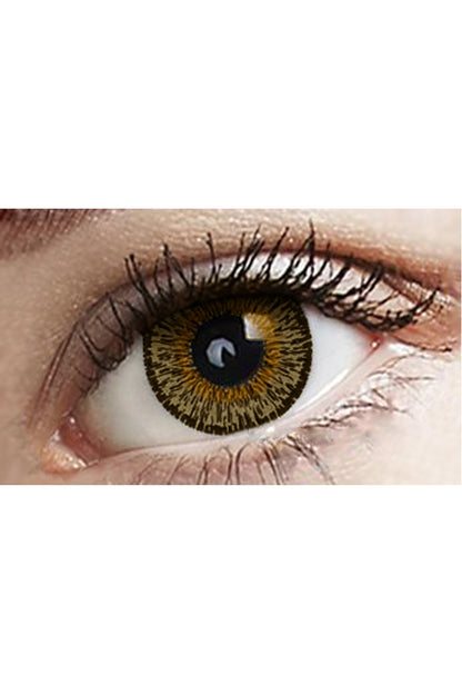 Chocolate Freshtone Eye-to-Eye Circle Lenses