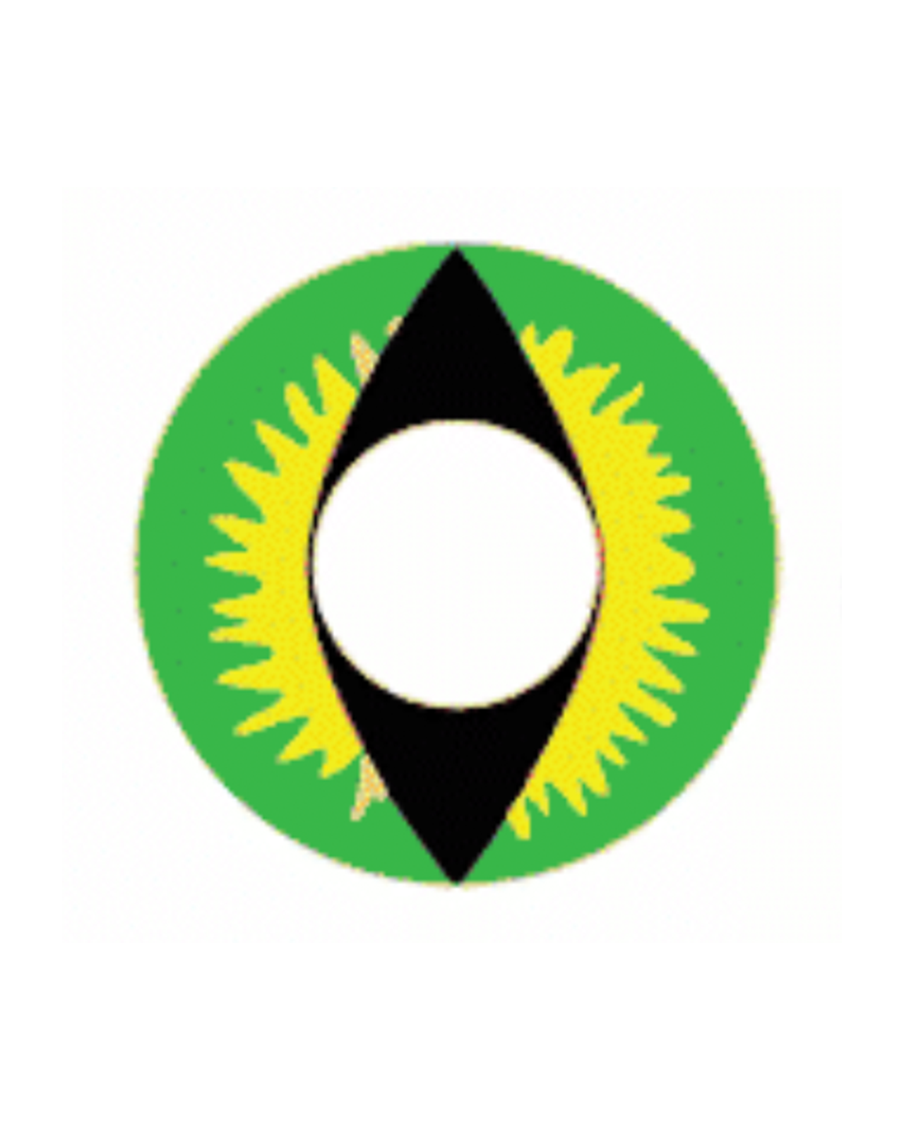 green yellow contact lenses cat dragon lizard Party Lens Contact Lenses – Non-prescription, 12-month wear coloured contacts for cosplay, Halloween, and costumes