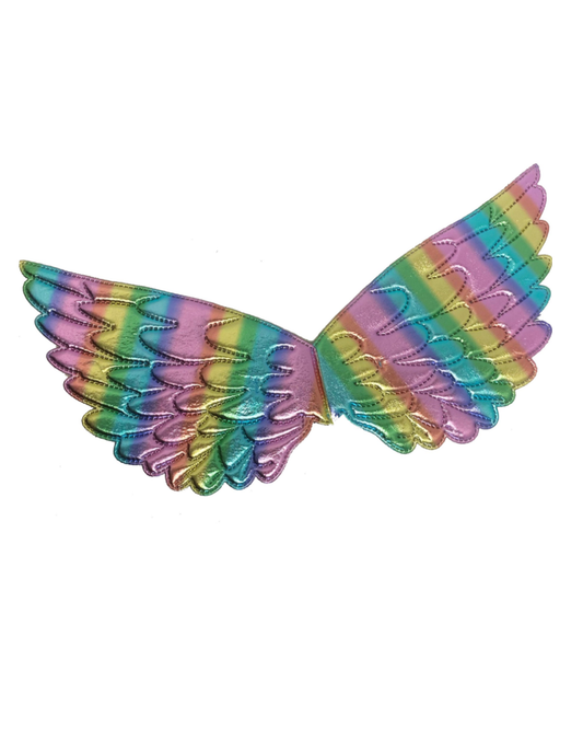 Bright Rainbow Mini Wings
