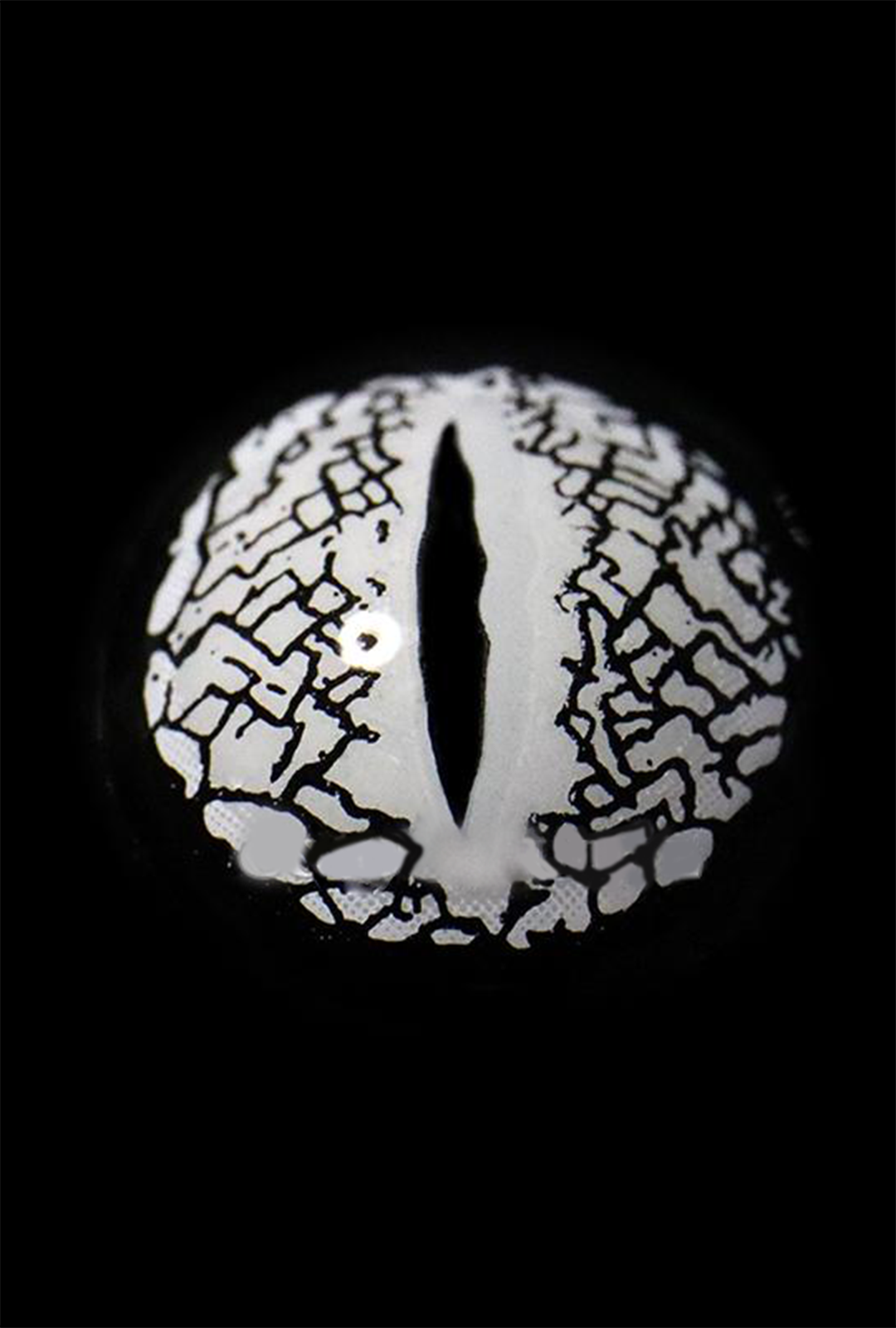 silver lizard Party Lens Contact Lenses – Non-prescription, 12-month wear coloured contacts for cosplay, Halloween, and costumes. 14.20mm diameter, 42% water content, includes free contact case. Available in Perth store and online