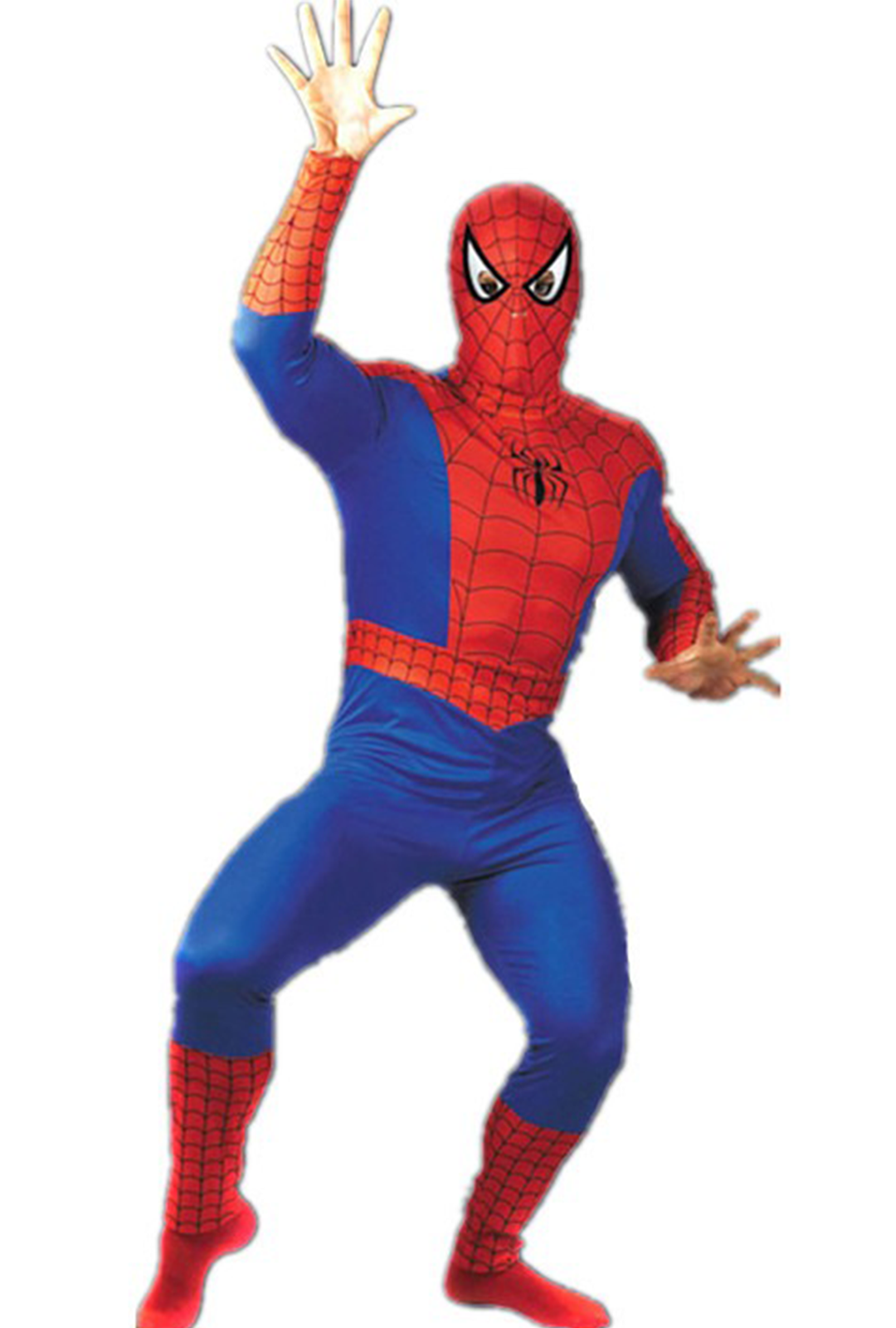 The Amazing Spiderman Costume
