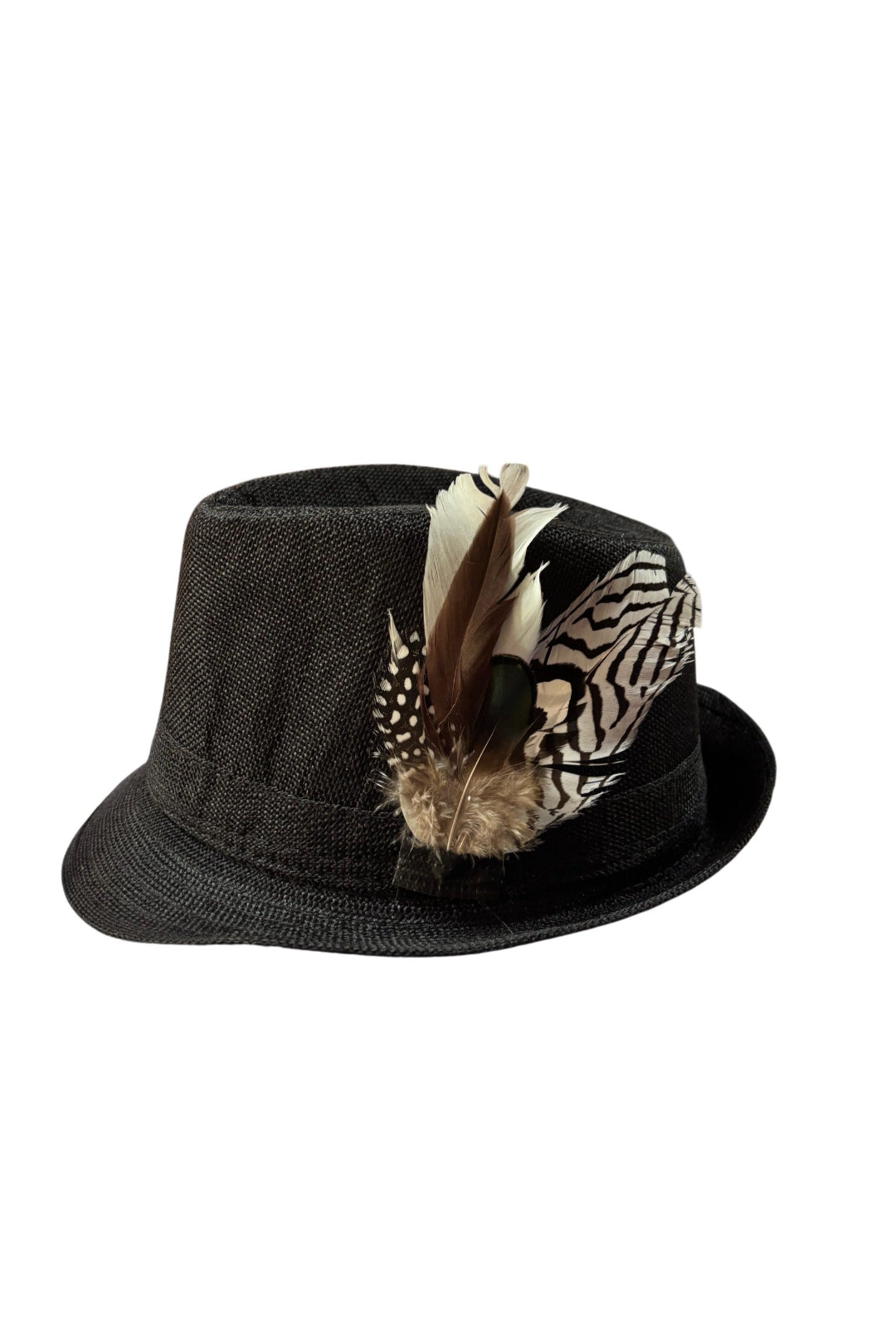 Oktoberfest Men's Trilby Hat With Feathers