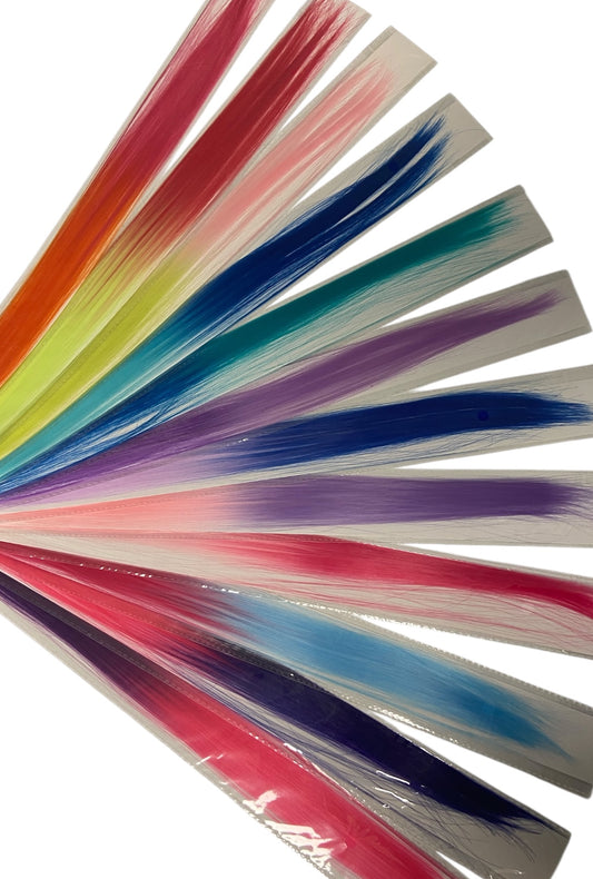 Coloured Ombre Clip In Extension