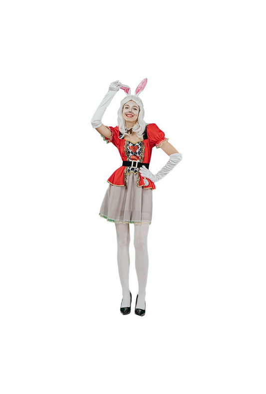 Miss Rabbit Costume