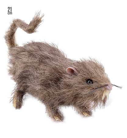 Hairy Rat