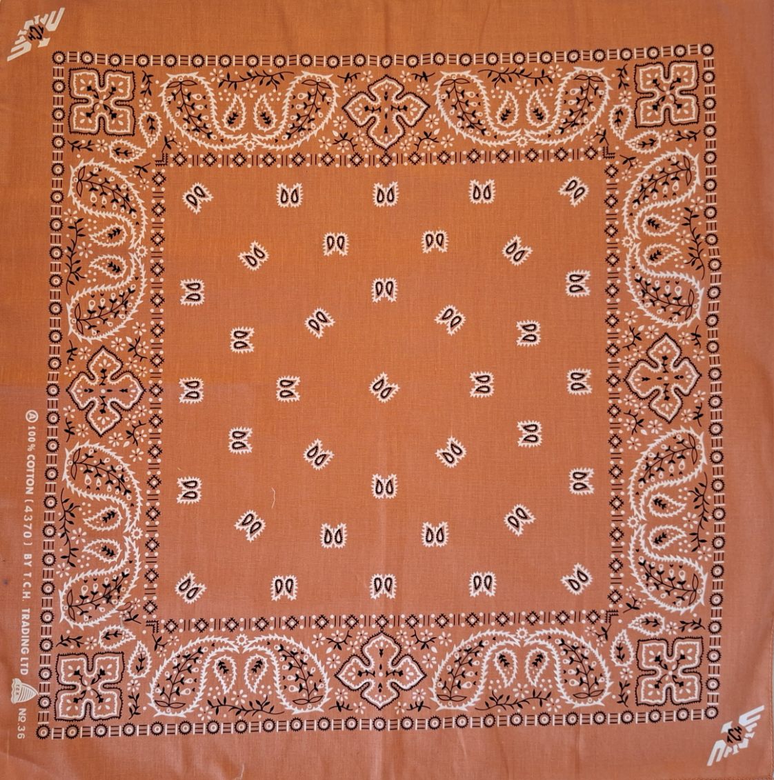 Rusty Orange Paisley Bandana No.36