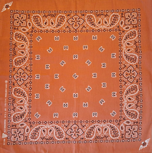 Rusty Orange Paisley Bandana No.36