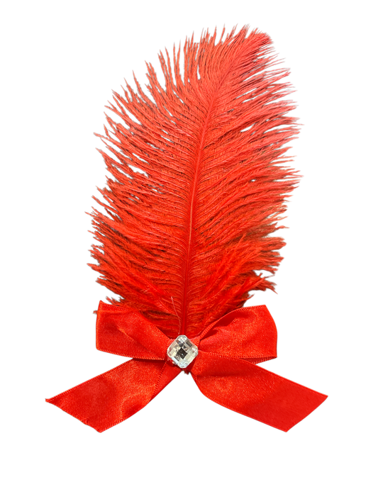 Red Bow And Feather Clip With Gem