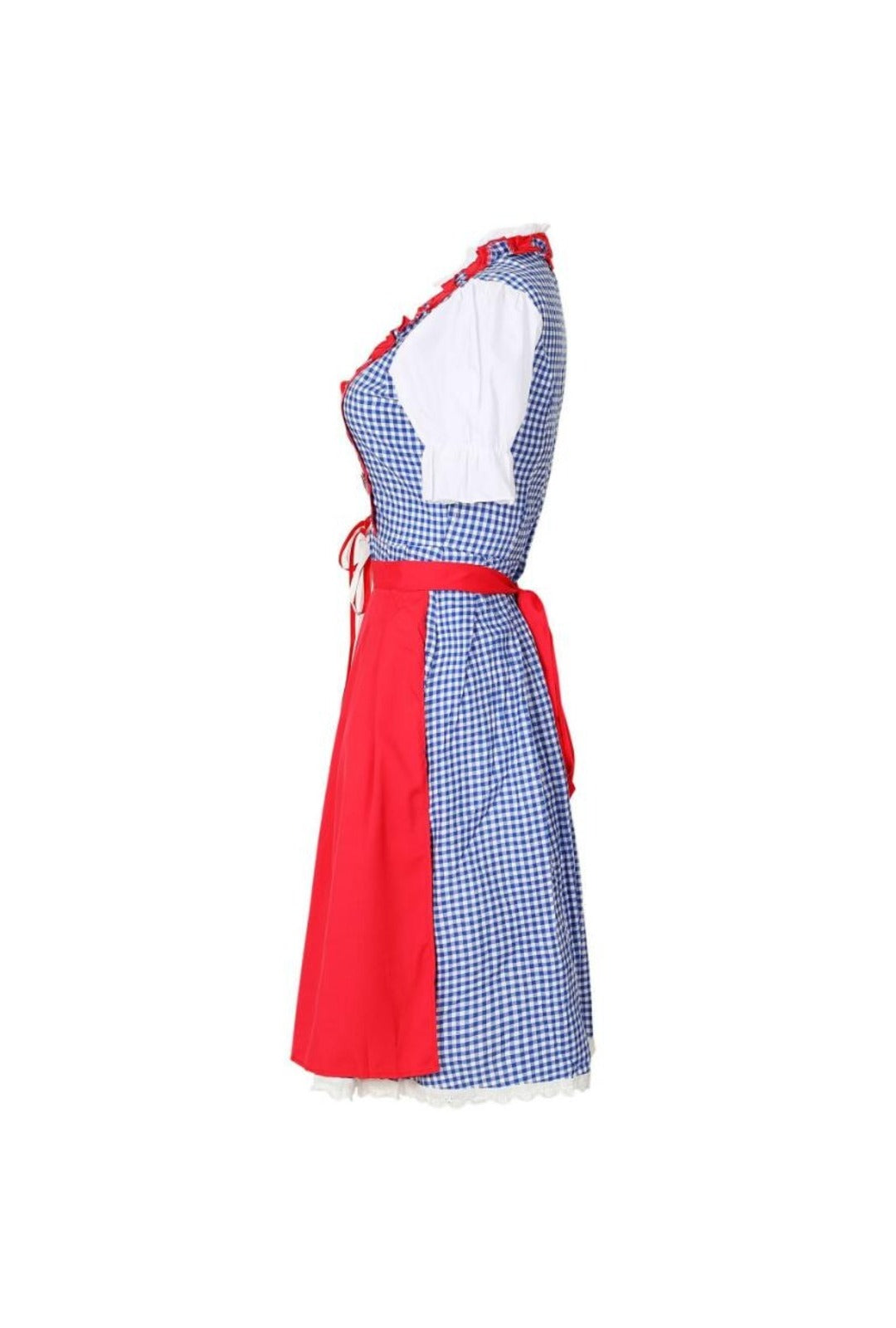 Plaid Blue and Red Dirndl Dress OCW132