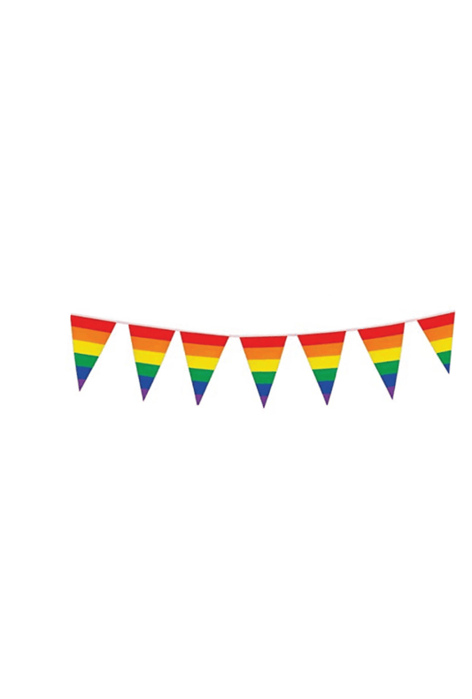 Rainbow Pride Triangle Bunting