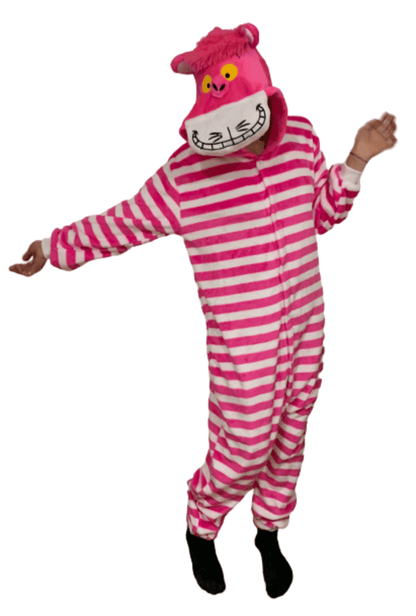 Alice in online wonderland onesie