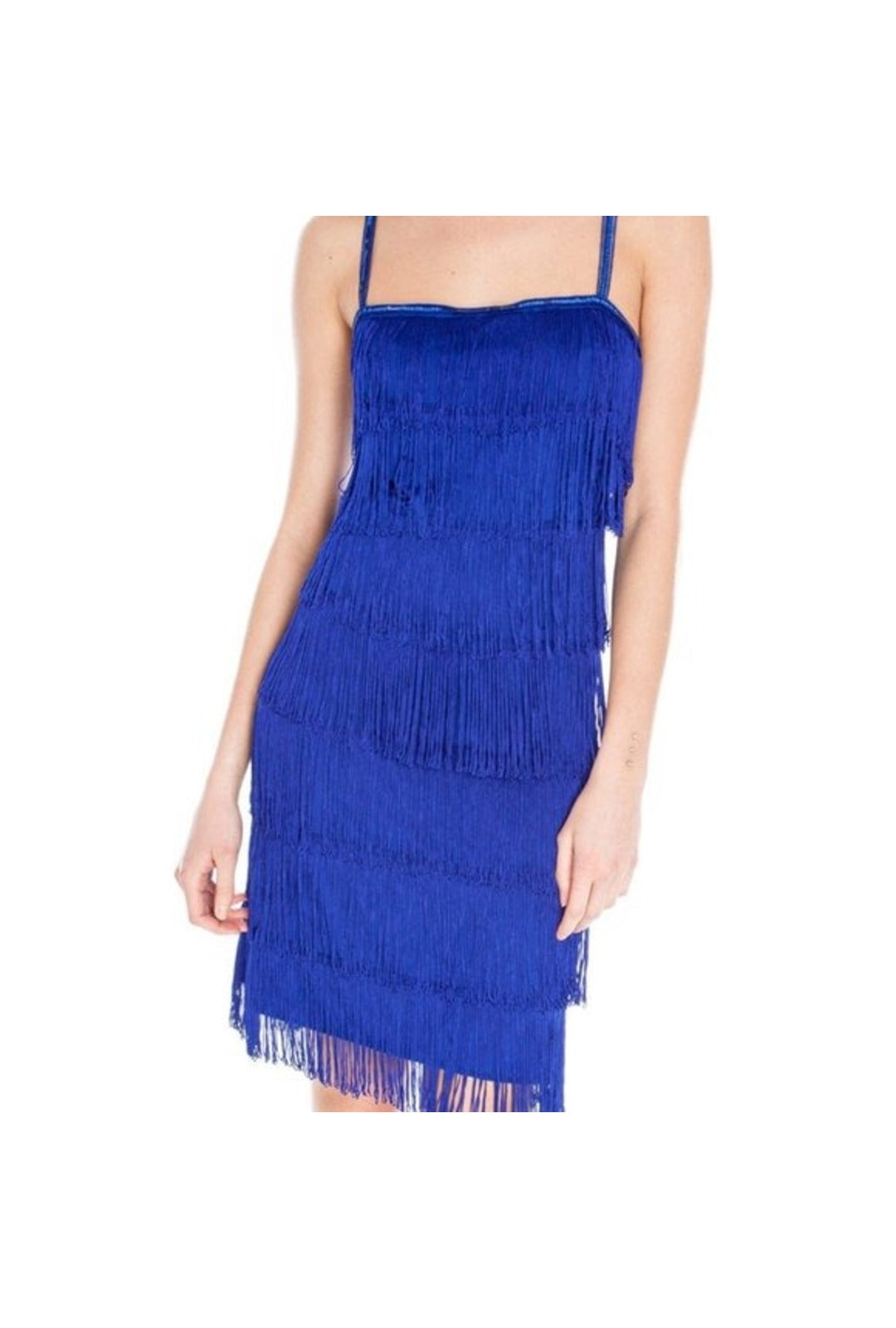 Blue 1920's Velvet Flapper Dress