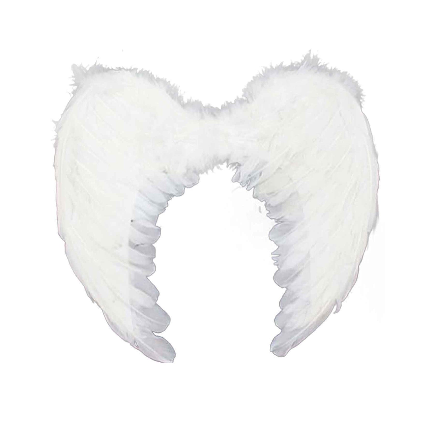 White Upside Down Angel Wings Perth | Hurly Burly – Hurly-Burly