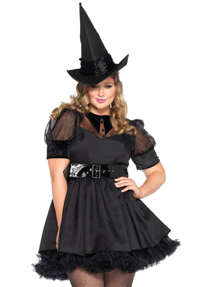 Bewitching Witch Costume Plus Size