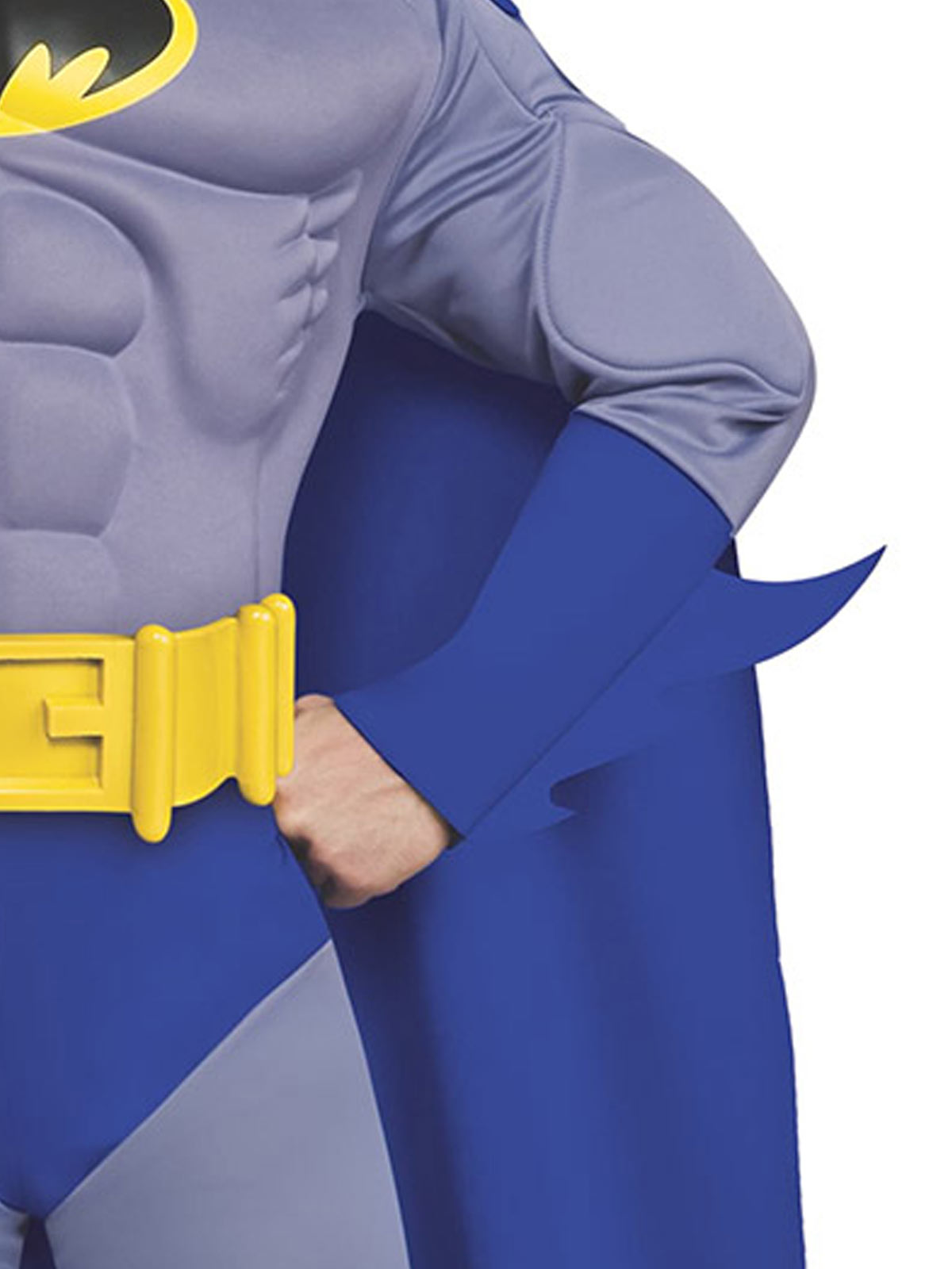 Batman Brave & Bold Deluxe Costume