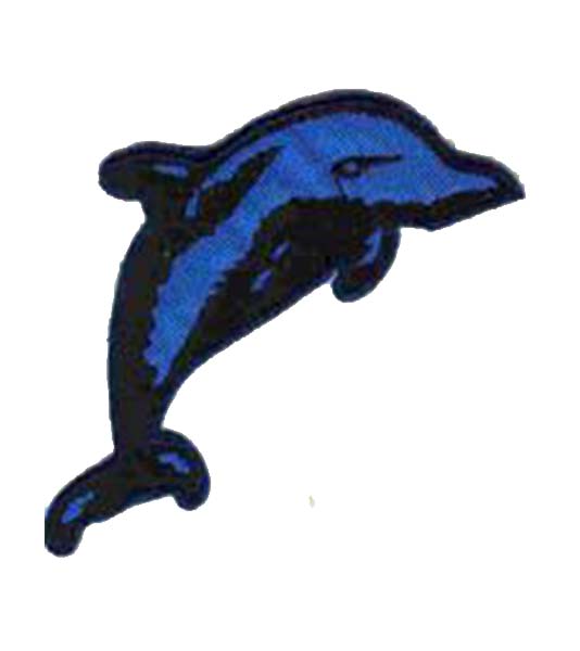 Dolphin Iron on Patch