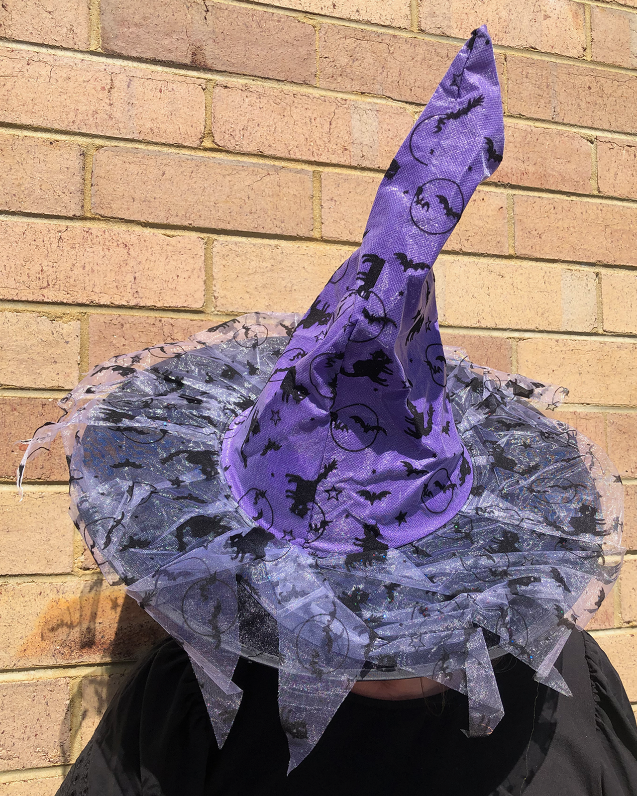Purple and Black Tulle Witch Hat