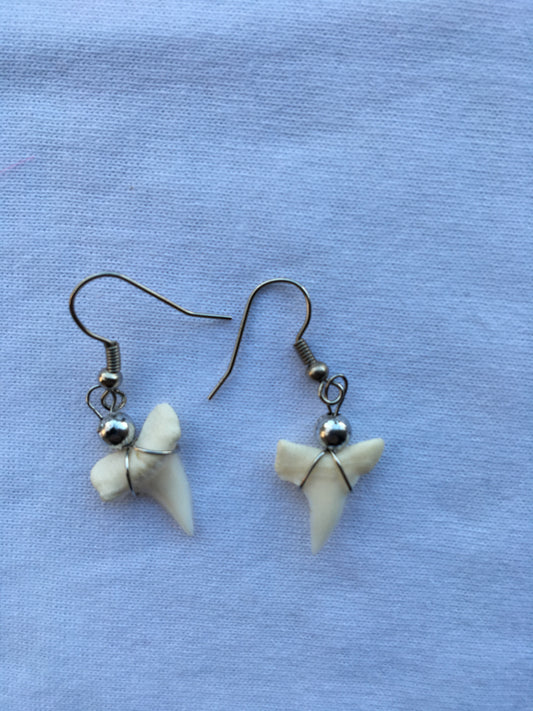 Shark Teeth Earrings