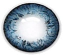Impressions: Blue Circle Lenses