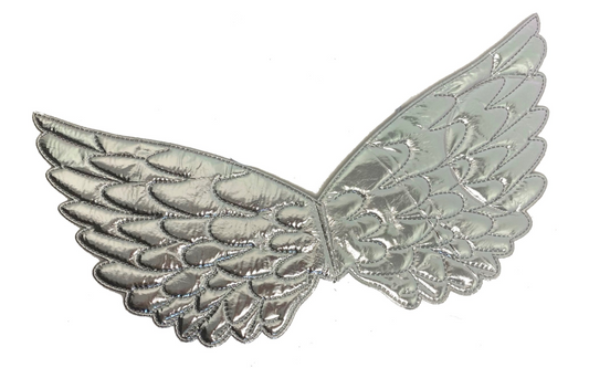 Metallic Silver Mini Wings