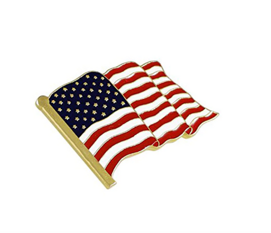 Donald Trump American Flag Pin