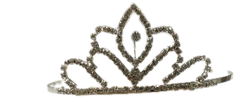 Silver Diamante Princess Tiara