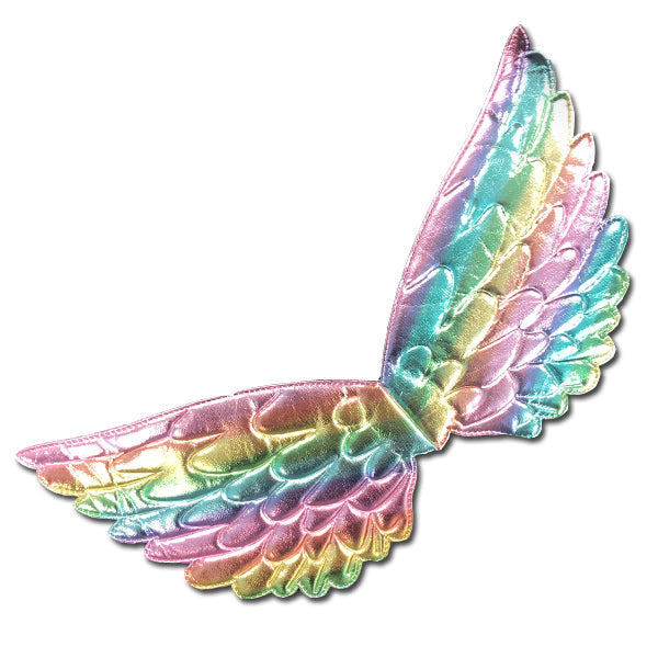 Iridescent Rainbow Mini Wings