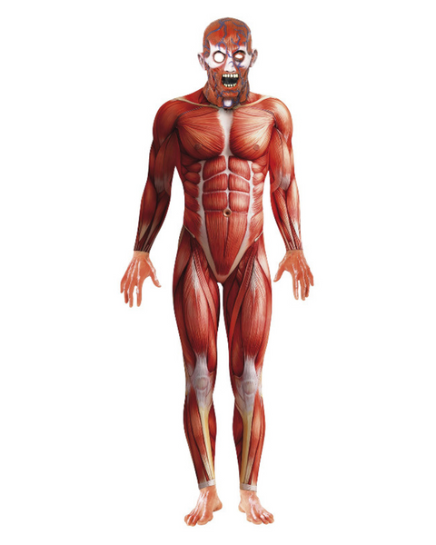 Anatomy Man Costume Perth