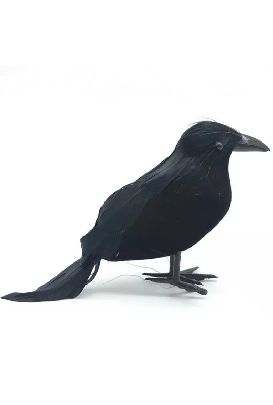 Black Feathered Crow Prop