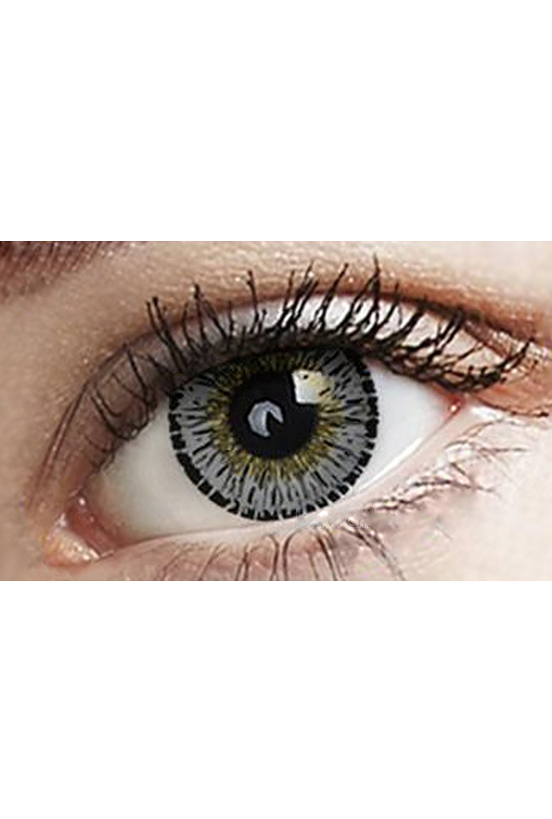 Grey Freshtone Eye-to-Eye Circle Lenses