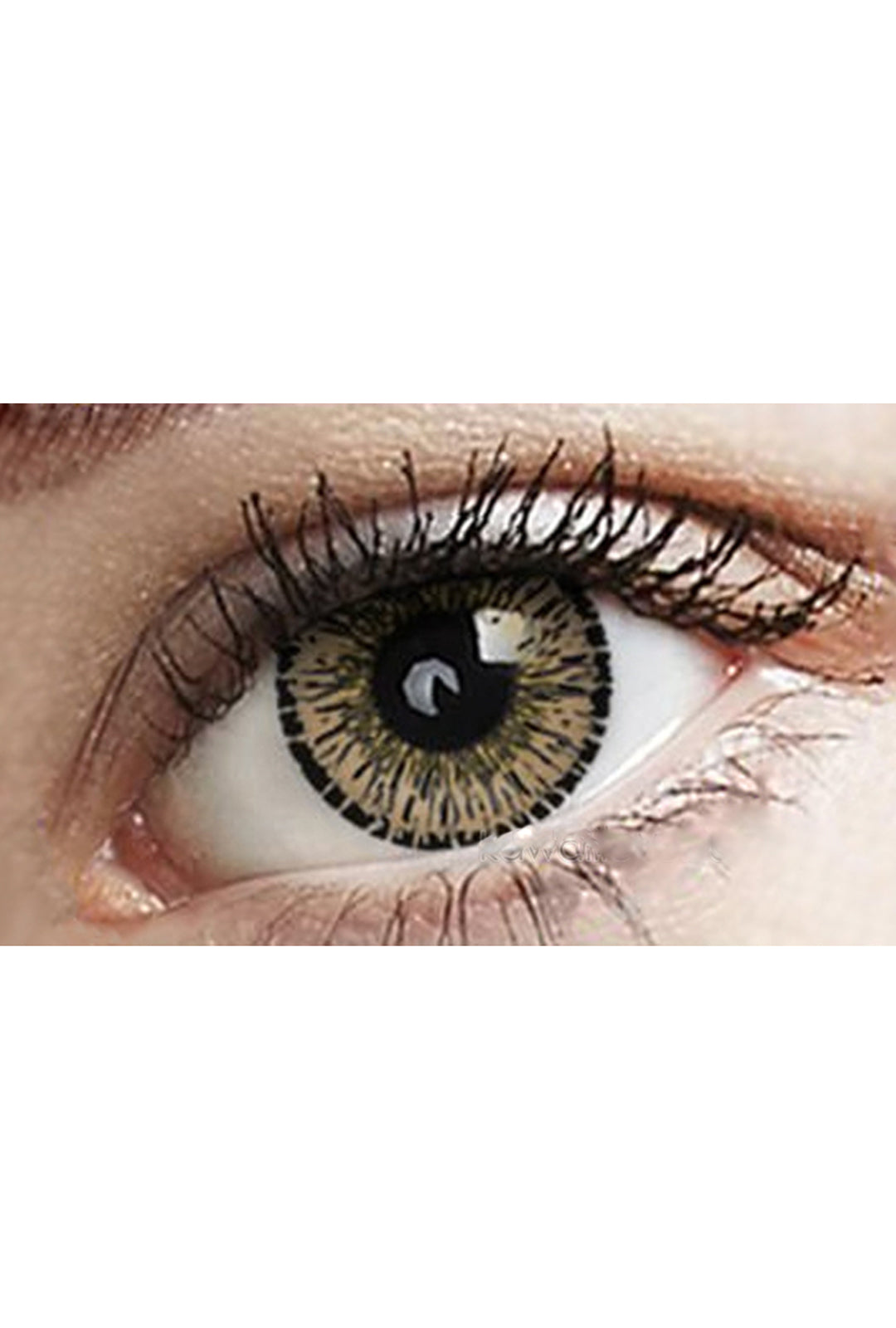 Hazel Freshtone Eye-to-Eye Circle Lenses