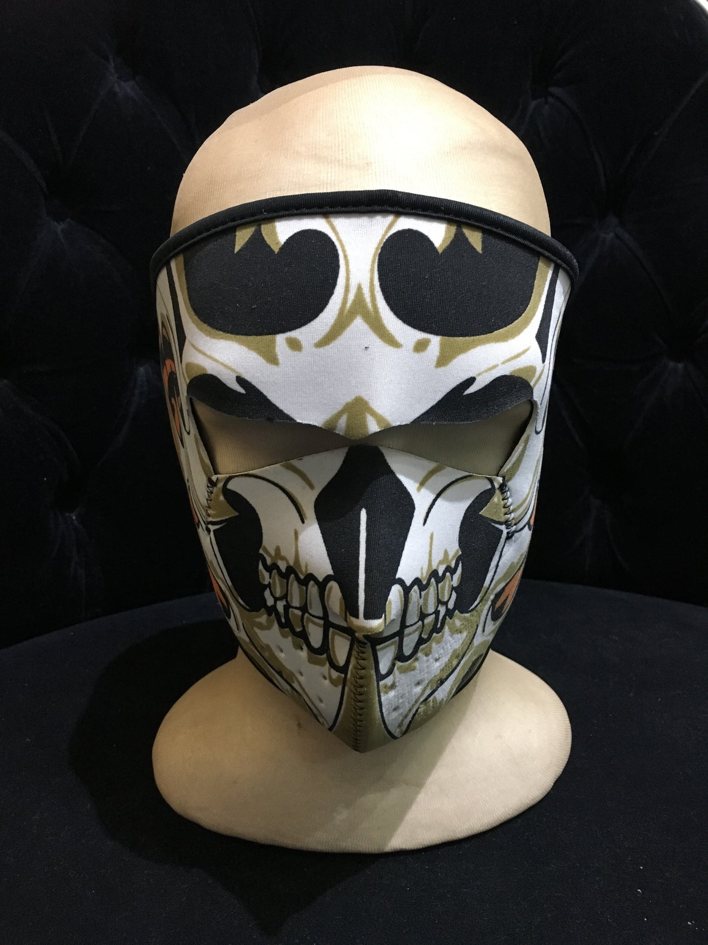 Skull Biker Mask