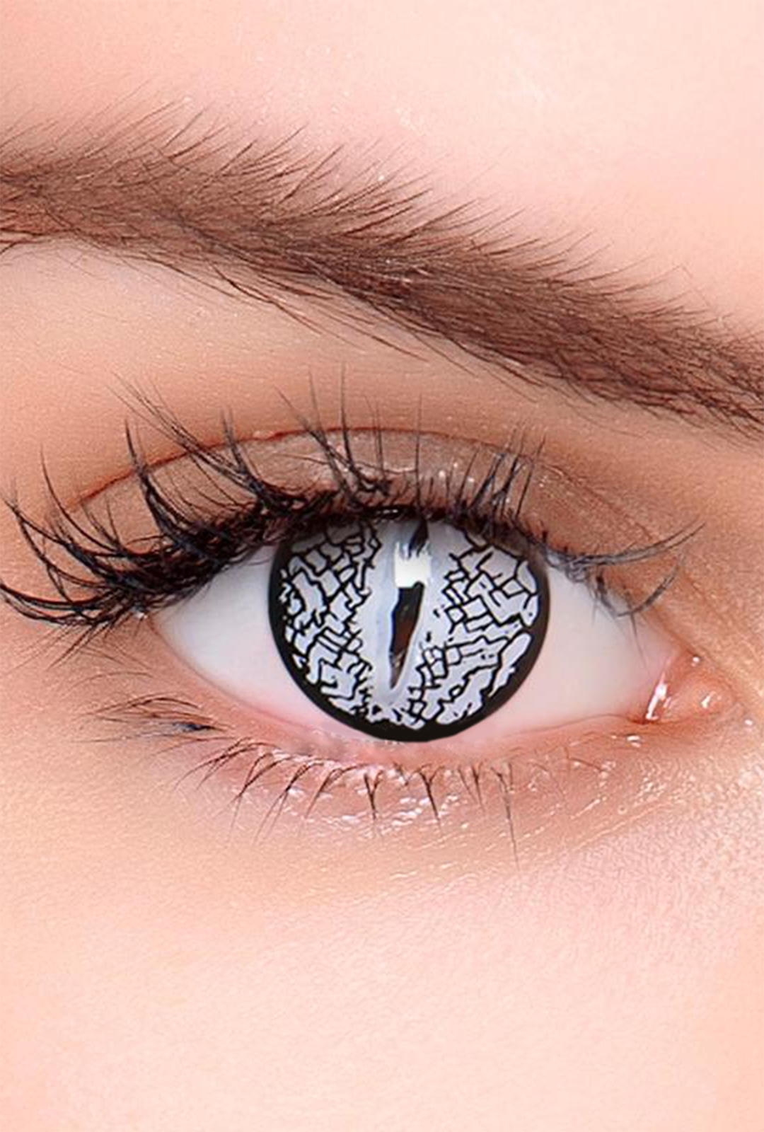 Lizard Contacts Party Lens #1 Silver Lizard Eye Contact Lenses Perth | Hurly Burly ...