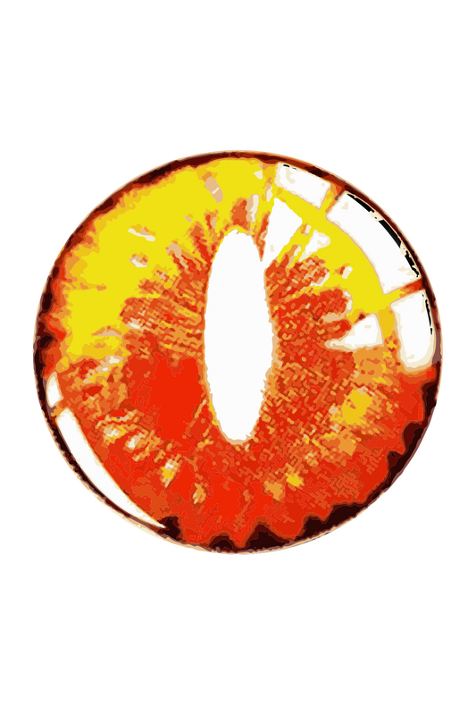 Party Lens #14 Orange Dragon Maid Contact Lenses